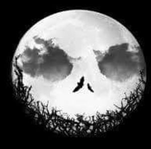 Meet your Posher, Tommy